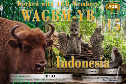 PD5DJ-WAGBM_YB-15_AGB