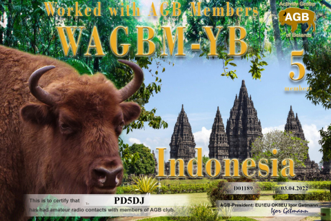PD5DJ-WAGBM_YB-5_AGB