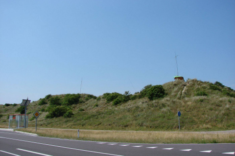 DSC00339